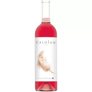 Caloian Rose Roni Q livezeni tg.mureș târgu mureș restaurant mureș delivery livrare terasă terasz Pizza mureș Pizza mures Restaurant Mureș Restaurant mures Pizza Livezeni Restaurant Livezeni ibănești ibanesti maiad nyomat nyomát Corunca Koronka Marosvásárhely Poienița poienita Agard Agárd Vendéglő Pizzázó házhozszállítás Sânișor Sanisor crispy burger mâncare tradițională ciorbă ciorbe meniul zilei platou platouri salată salate supă supe